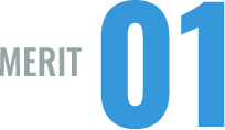 MERIT 01