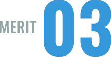 MERIT 03